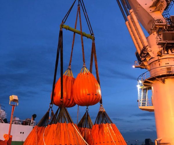 WhatsApp Image 2022-08-18 at 12.56.38 PM